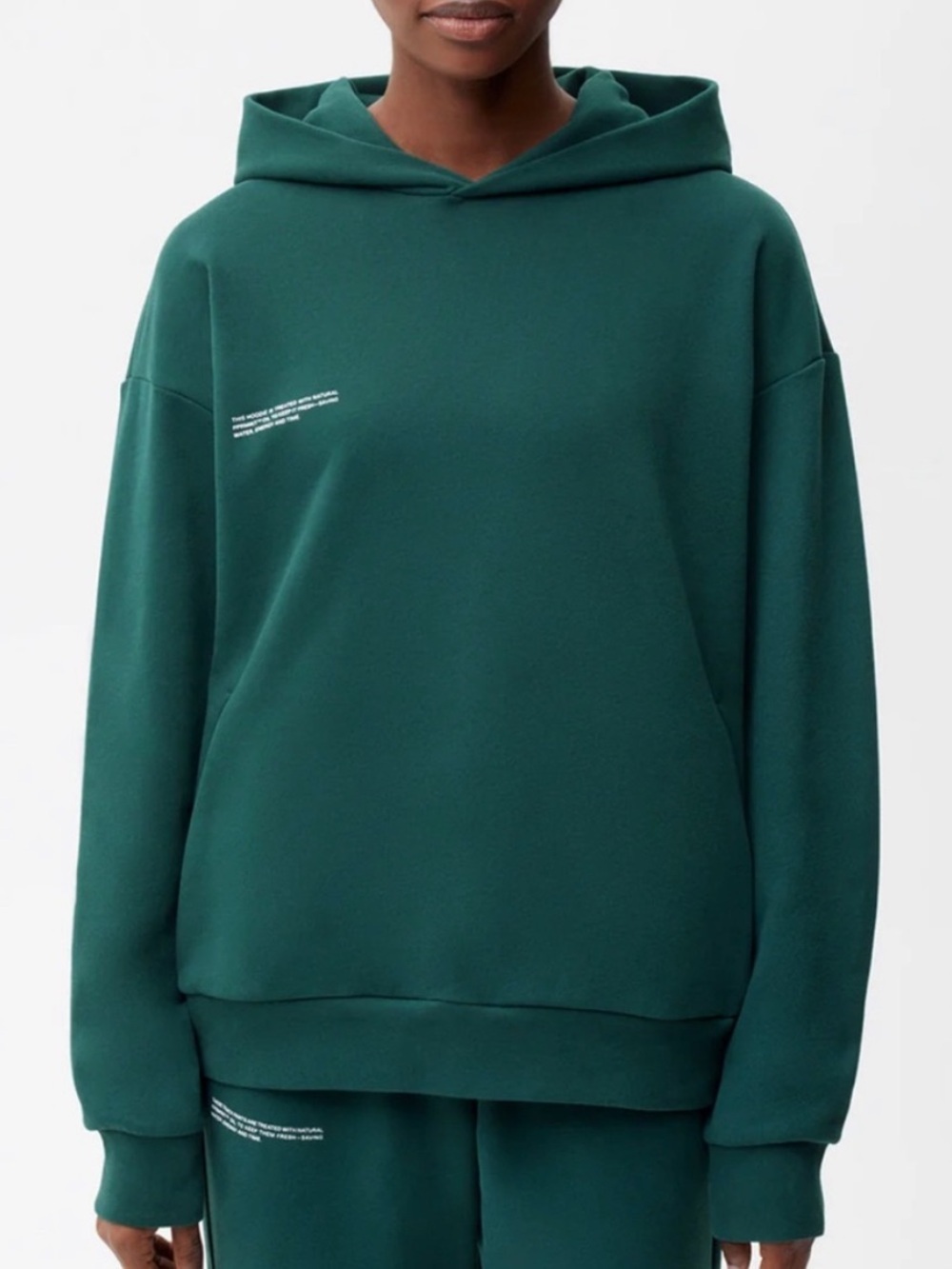 Pangaia 365 Organic Cotton Midweight Hoodie Size Large in Foliage Green - EUC!